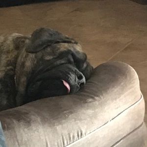 Meet your Posher, Raini